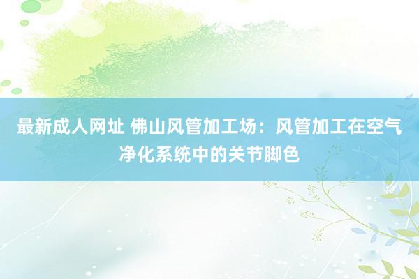 最新成人网址 佛山风管加工场：风管加工在空气净化系统中的关节脚色