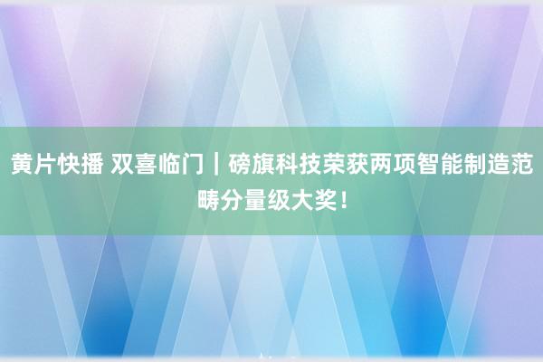 黄片快播 双喜临门｜磅旗科技荣获两项智能制造范畴分量级大奖！