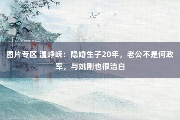 图片专区 温峥嵘：隐婚生子20年，老公不是何政军，与姚刚也很洁白