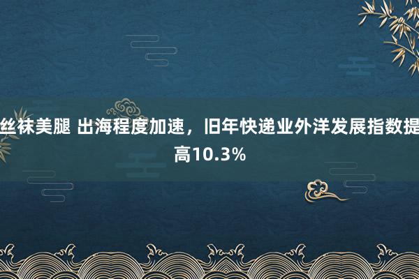 丝袜美腿 出海程度加速，旧年快递业外洋发展指数提高10.3%