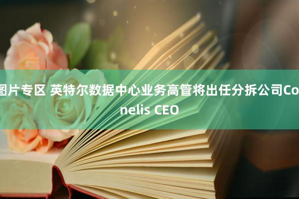 图片专区 英特尔数据中心业务高管将出任分拆公司Cornelis CEO