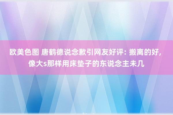 欧美色图 唐鹤德说念歉引网友好评: 搬离的好, 像大s那样用床垫子的东说念主未几