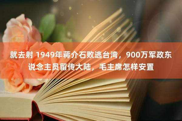 就去射 1949年蒋介石败逃台湾，900万军政东说念主员留传大陆，毛主席怎样安置