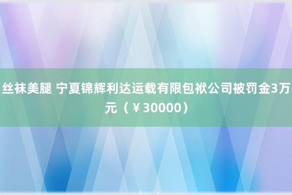 丝袜美腿 宁夏锦辉利达运载有限包袱公司被罚金3万元（￥30000）