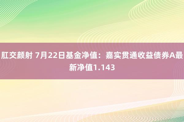 肛交颜射 7月22日基金净值：嘉实贯通收益债券A最新净值1.143