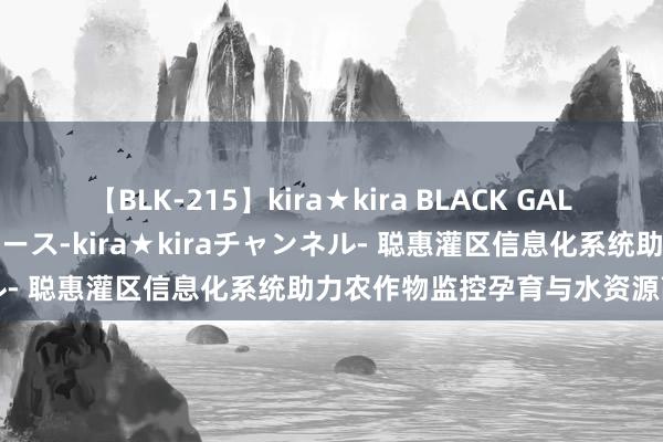 【BLK-215】kira★kira BLACK GAL 黒ギャル・EMIRIプロデュース-kira★kiraチャンネル- 聪惠灌区信息化系统助力农作物监控孕育与水资源高效利用