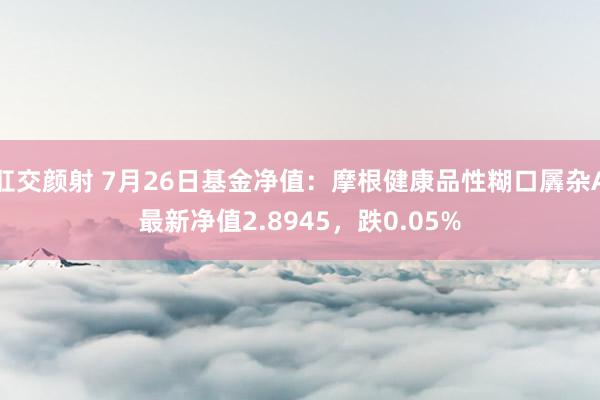 肛交颜射 7月26日基金净值：摩根健康品性糊口羼杂A最新净值2.8945，跌0.05%