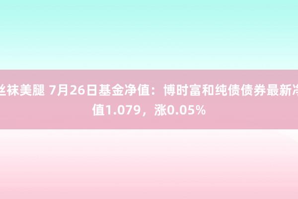 丝袜美腿 7月26日基金净值：博时富和纯债债券最新净值1.079，涨0.05%