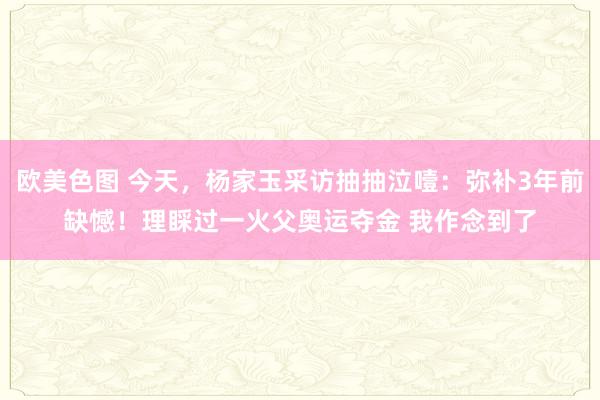 欧美色图 今天，杨家玉采访抽抽泣噎：弥补3年前缺憾！理睬过一火父奥运夺金 我作念到了