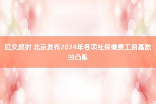 肛交颜射 北京发布2024年各项社保缴费工资基数凹凸限