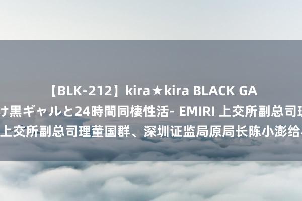 【BLK-212】kira★kira BLACK GAL レンタル痴女GAL-日焼け黒ギャルと24時間同棲性活- EMIRI 上交所副总司理董国群、深圳证监局原局长陈小澎给与审查访问