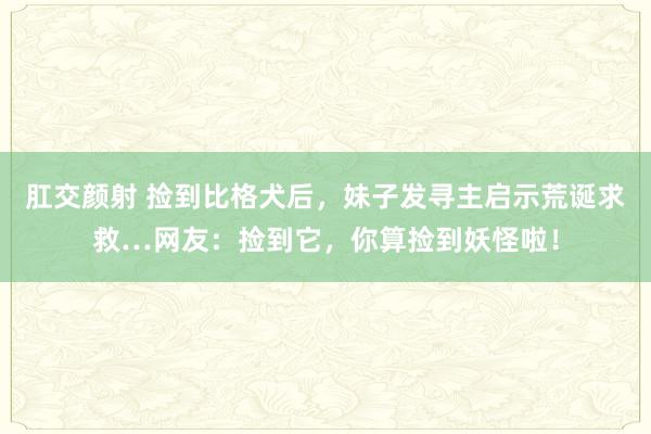 肛交颜射 捡到比格犬后，妹子发寻主启示荒诞求救…网友：捡到它，你算捡到妖怪啦！