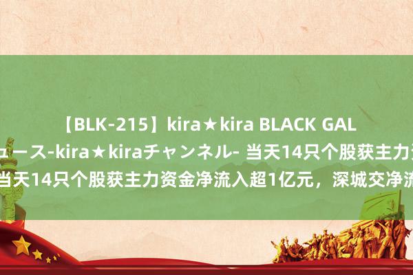 【BLK-215】kira★kira BLACK GAL 黒ギャル・EMIRIプロデュース-kira★kiraチャンネル- 当天14只个股获主力资金净流入超1亿元，深城交净流入2.3亿元