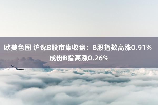 欧美色图 沪深B股市集收盘：B股指数高涨0.91% 成份B指高涨0.26%