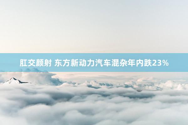 肛交颜射 东方新动力汽车混杂年内跌23%