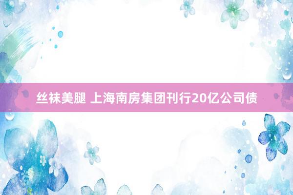 丝袜美腿 上海南房集团刊行20亿公司债