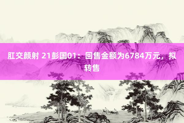 肛交颜射 21彭国01：回售金额为6784万元，拟转售