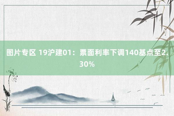 图片专区 19沪建01：票面利率下调140基点至2.30%