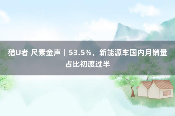 猎U者 尺素金声丨53.5%，新能源车国内月销量占比初渡过半