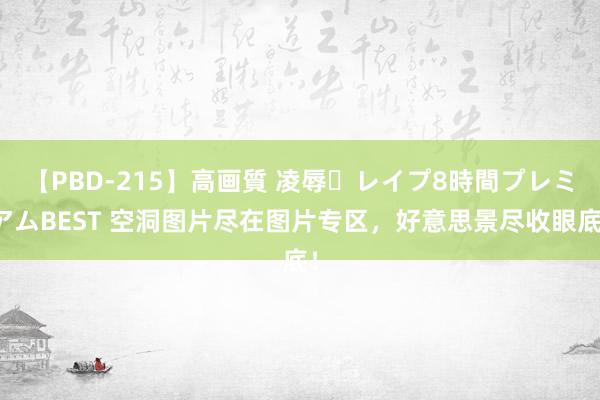 【PBD-215】高画質 凌辱・レイプ8時間プレミアムBEST 空洞图片尽在图片专区，好意思景尽收眼底！