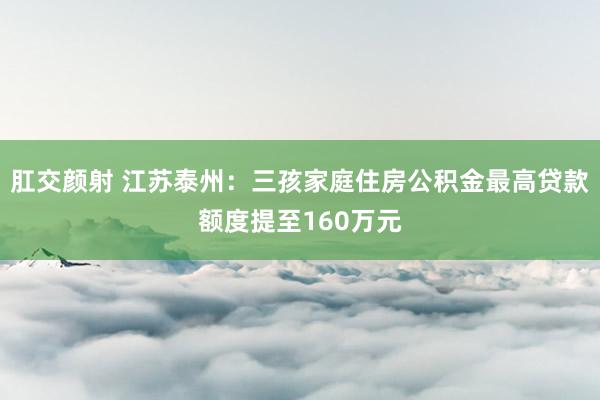 肛交颜射 江苏泰州：三孩家庭住房公积金最高贷款额度提至160万元