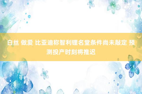 白丝 做爱 比亚迪称智利锂名堂条件尚未敲定 预测投产时刻将推迟