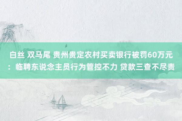 白丝 双马尾 贵州贵定农村买卖银行被罚60万元：临聘东说念主员行为管控不力 贷款三查不尽责